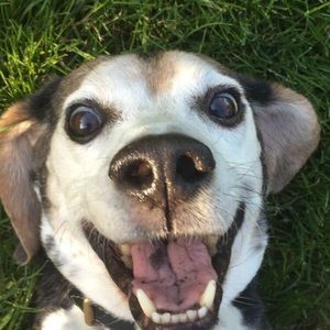 Meet your Posher, Jenna